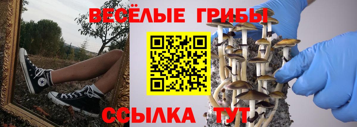 Галлюциногенные грибы прущие грибы  наркошоп  Вход с VPN  Ржев  Псилоцибиновые грибы MAGIC MUSHROOMS 